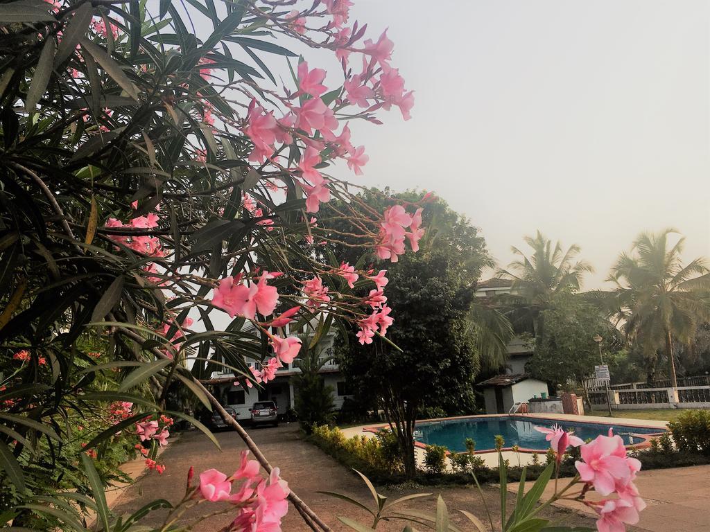 Gr Stays - Duplex 3Bhk Villa With Pool Arpora I Baga Beach 5 Mins Экстерьер фото